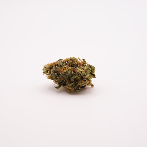 420 Evolution 27/1 CA BUL