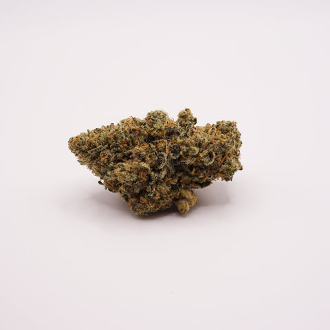 420 Evolution 27/1 FLM CA
