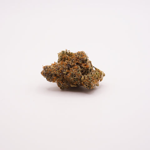 420 Evolution 27/1 MMI