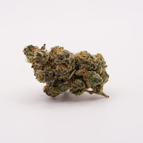 420 Evolution 30/1 CA WES