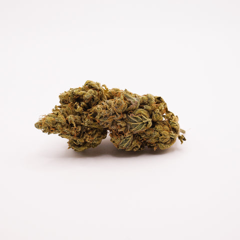 420 Evolution 25/1 CA BUL