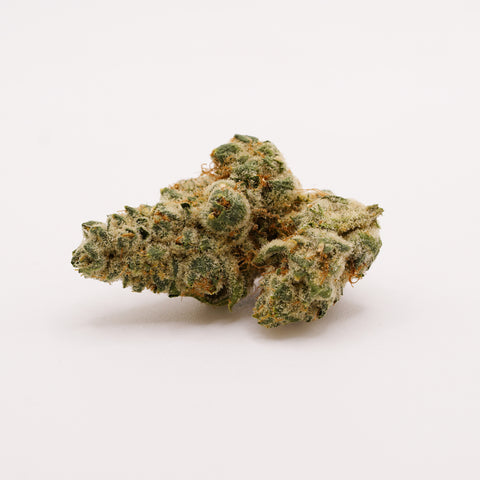 420 Evolution 33/1 CA PCH