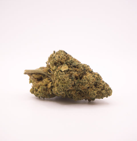Medizinisches Cannabis Pedanios-29_1_SRD