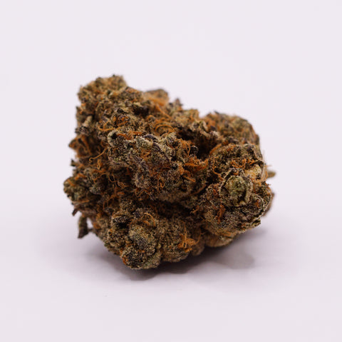 24/1 IUVO OC - Killer Cupcake