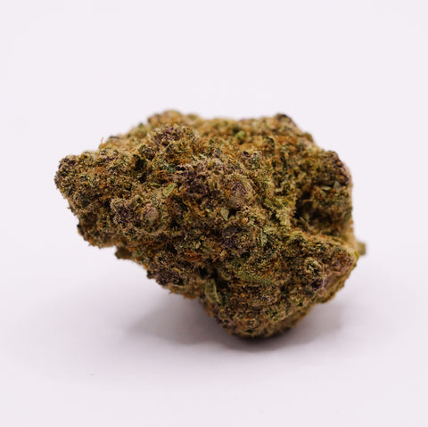 24/1 IUVO OC - Triangle Queen