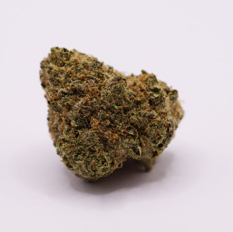 28/1 IUVO KC - OJ Zainbow