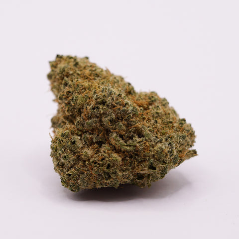 28/1 IUVO OC - Orange Z