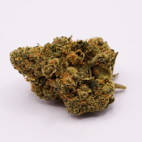 33/1 Amici AC Animal Cookies