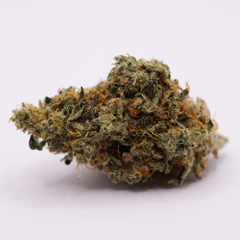 420 Evolution 27/1 CA ICC