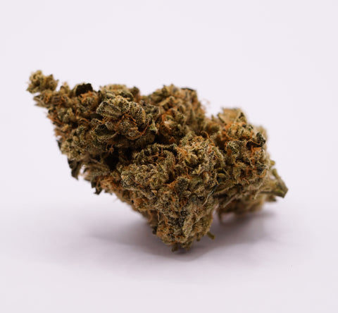 28/1 Amici GB - Godberry