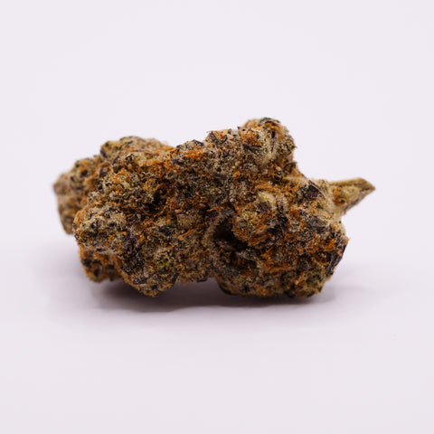 28/1 Amici RV - Red Velvet