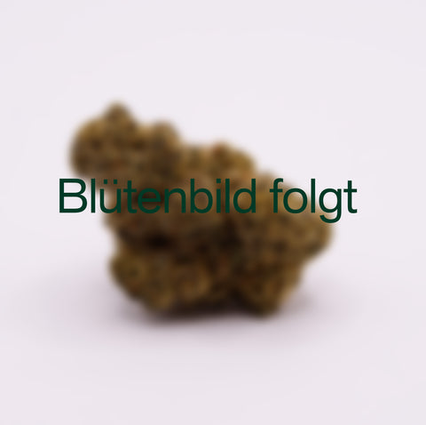 ONO Astrono 25/1 - Kush Mint