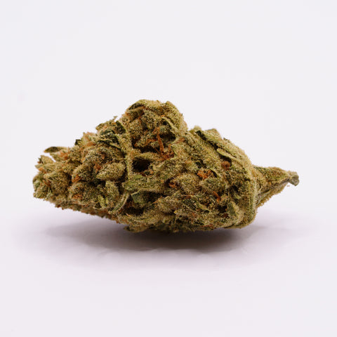 Medicus 27/1 DSD