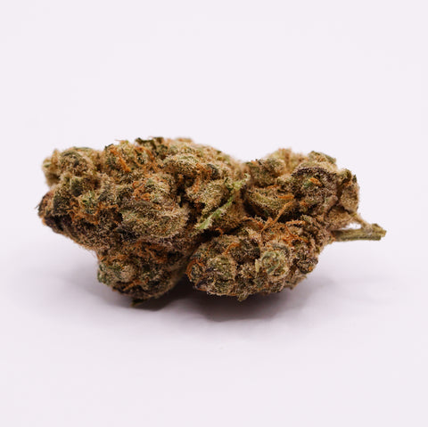 NICE 31/1 GSC Girl Scout Cookies