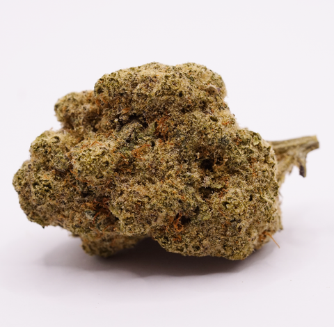 ZOIKS 26/1 ALM Alienmax