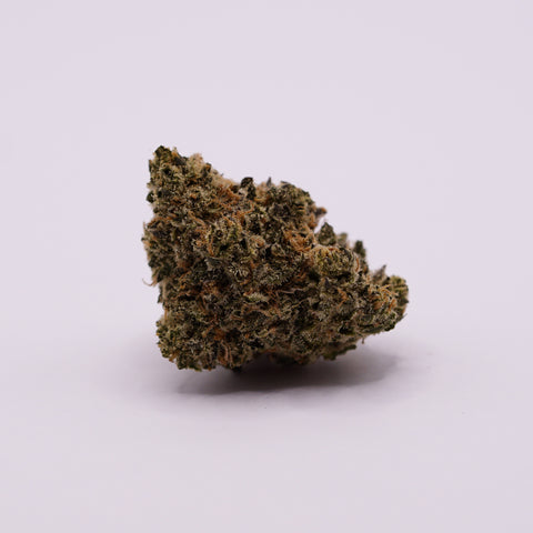 avaay 24/1 BPM - Baby Pam